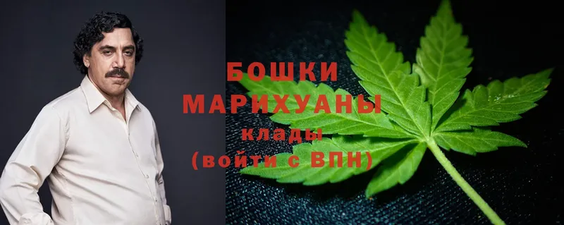 Шишки марихуана SATIVA & INDICA  наркотики  Калининец 